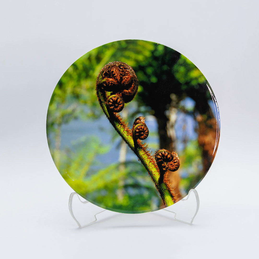 Ceramic Coasters