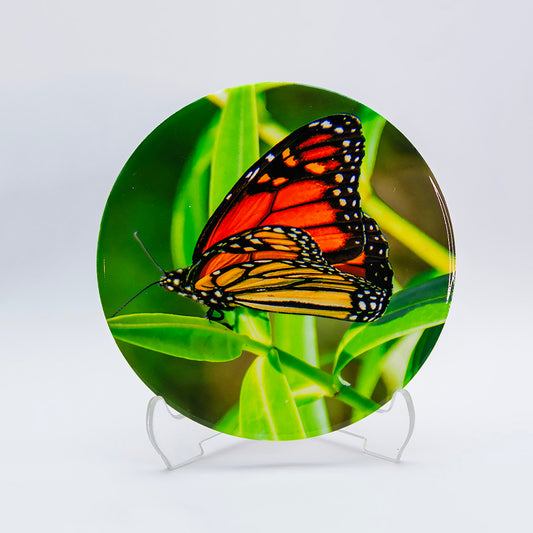 Ceramic Coasters