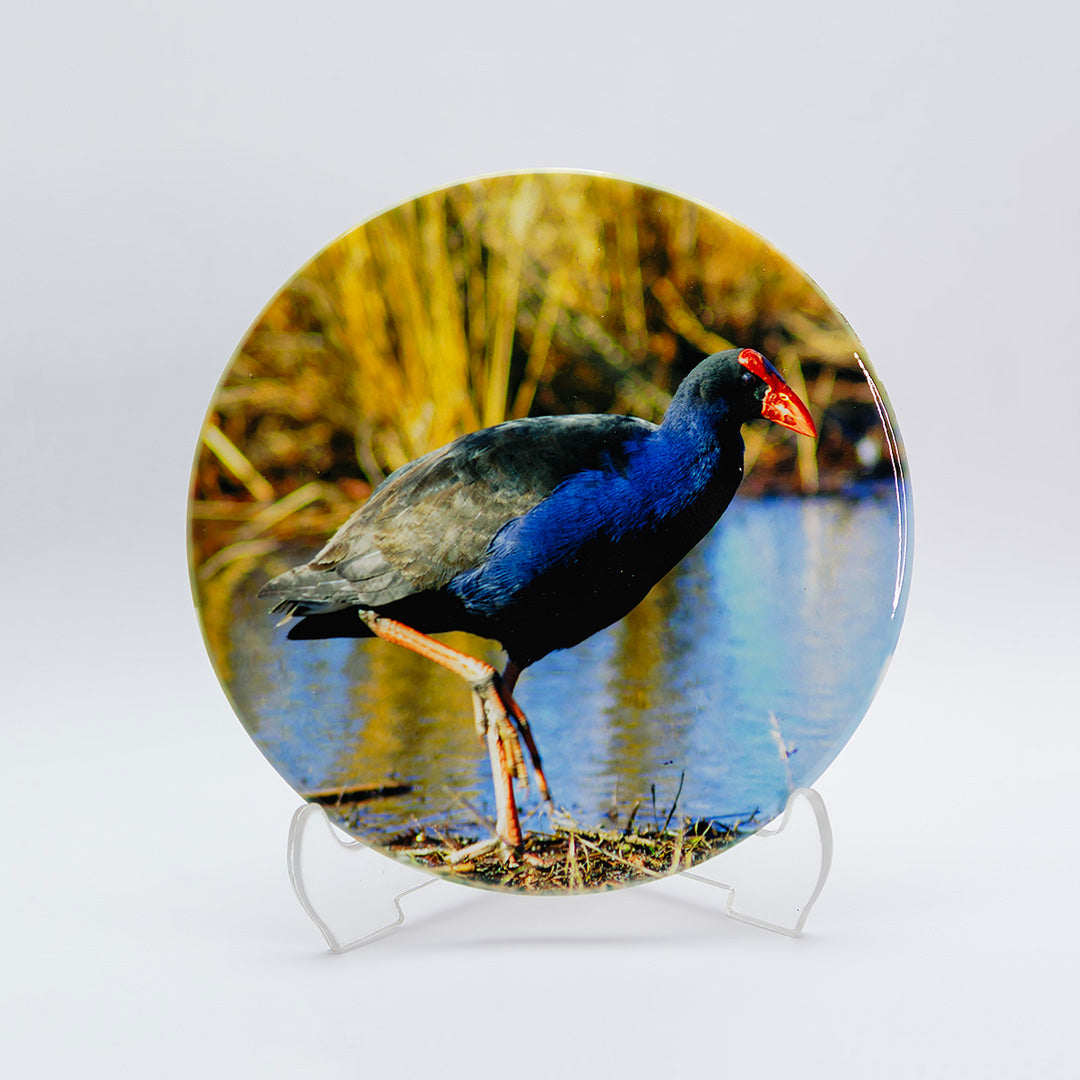 Ceramic Coasters